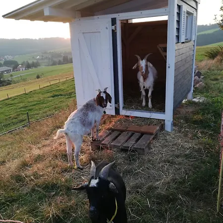 דירה Ruth Und Ewald Matt *